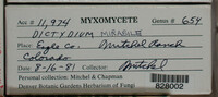 Image Associated With the Occurence